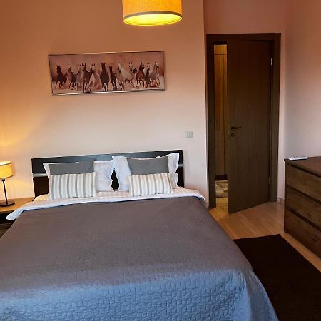 Mirabell Apartment Bansko - Mountain View & Fireplace المظهر الخارجي الصورة