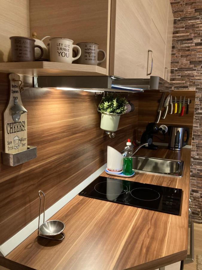 Mirabell Apartment Bansko - Mountain View & Fireplace المظهر الخارجي الصورة