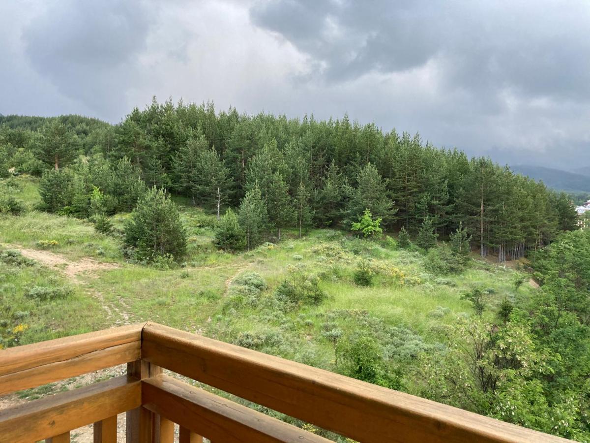 Mirabell Apartment Bansko - Mountain View & Fireplace المظهر الخارجي الصورة