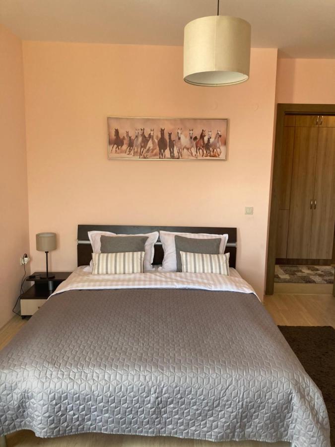 Mirabell Apartment Bansko - Mountain View & Fireplace المظهر الخارجي الصورة