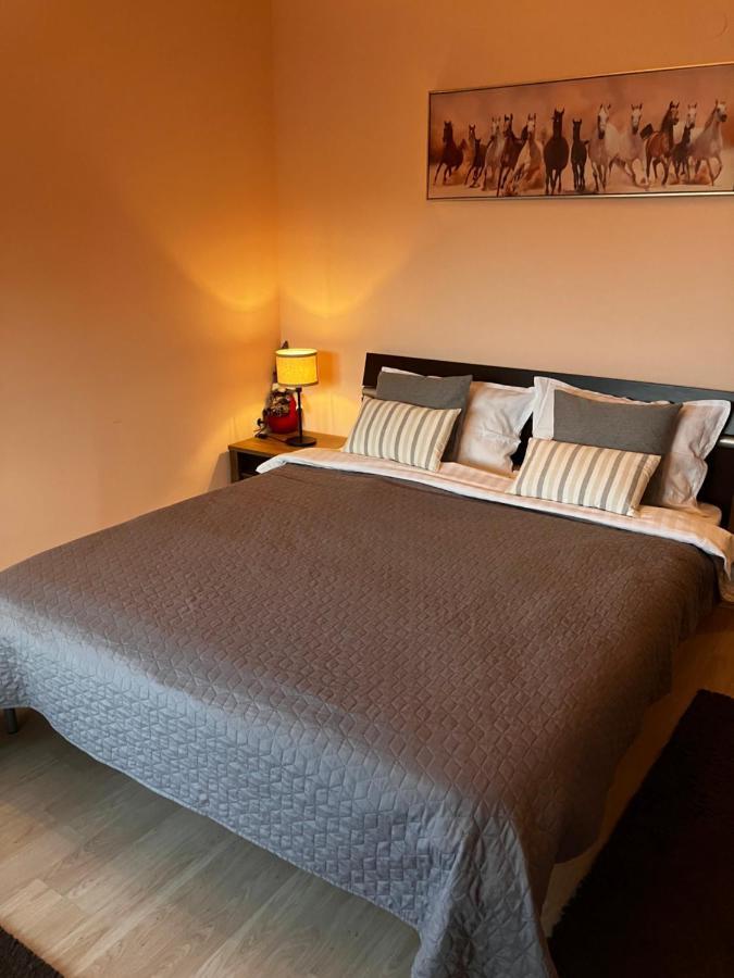 Mirabell Apartment Bansko - Mountain View & Fireplace المظهر الخارجي الصورة